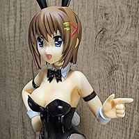 Amazon.co.jp: 魔法少女リリカルなのはStrikerS 八神はやて